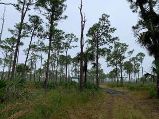 Kitching Creek Primitive Campground — Jonathan Dickinson State Park