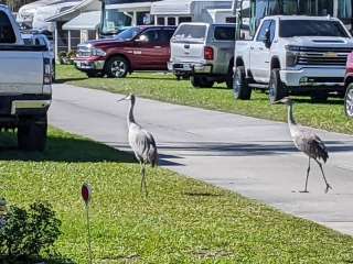 Craig's RV Park