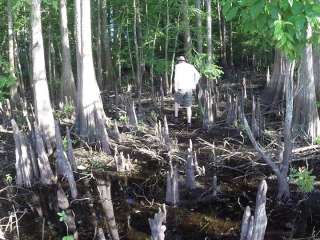 Indian Prairie Canal RA