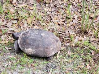 Upper Hillsborough Tract