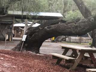 Camp Mack, A Guy Harvey Lodge, Marina & RV Resort