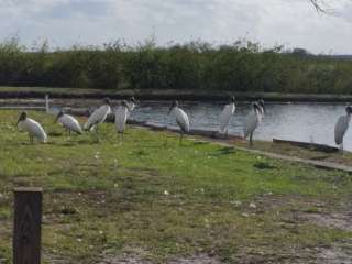 Lake Toho RV Resort