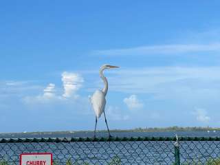 Big Lake Lodge & RV Park