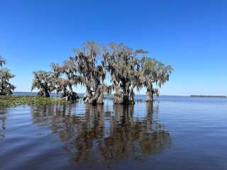 Cypress Isle RV Park and Marina