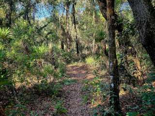 Upper Hillsborough Water Management Area