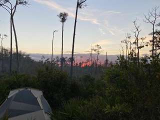 Seven Mile Camp on the Florida Trail