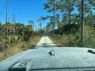 Pink Jeep Campground — Big Cypress National Preserve