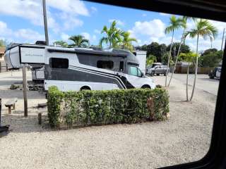 Juno Ocean Walk RV Resort