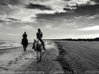 Arnett's Gulfside Trail Rides & Campground