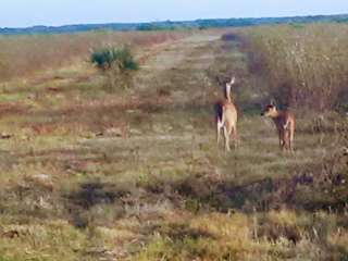 Dinner Island Ranch Wildlife Management Area