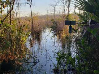 Ivy Primitive Camp — Big Cypress National Preserve