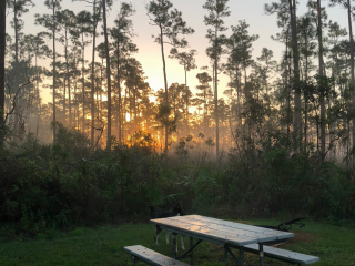 Long Pine Key Campground — Everglades National Park