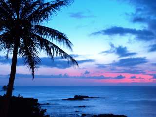 Bayside Campground — Bahia Honda State Park