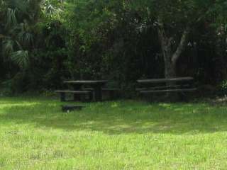 Pinecrest Group Campground — Big Cypress National Preserve