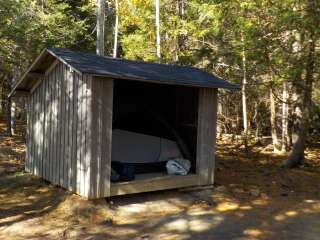 Cobscook Bay State Park