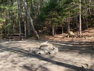 Katahdin Stream Campground — Baxter State Park