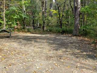 Grafton Notch Campground