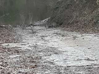 Desoto National Forest Fairley Bridge Landing