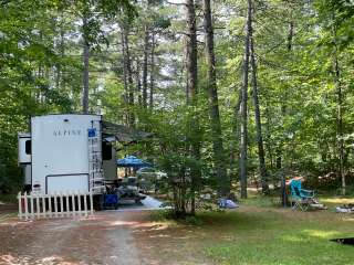 Big Moose Inn Cabins and Campground