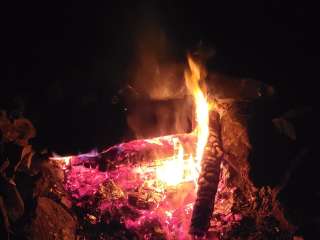 Nesowadnehunk Lake Wilderness Campground