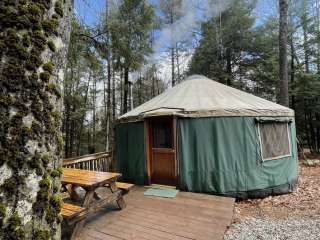 Maine Forest Yurts