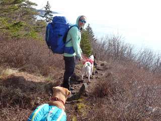 Long Point — Cutler Coast Ecological Reserve