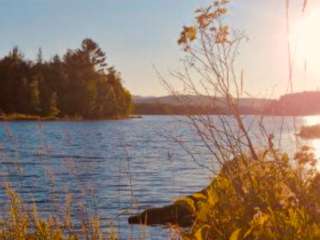 Bigelow Col Campsite — Bigelow Ecological Reserve