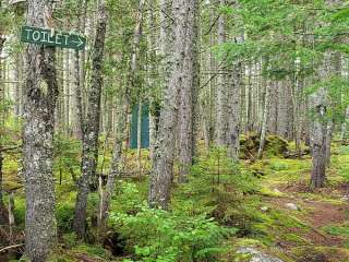 Long Pond Campsites in KI Jo Mary MultiUse Forest