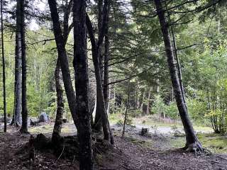 South Bay on Rocky Lake