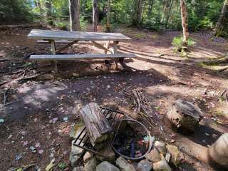 Big Moose Pond Campsite