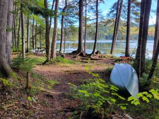 Little Moose Pond Campsite