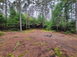 Trout Pond Campsite