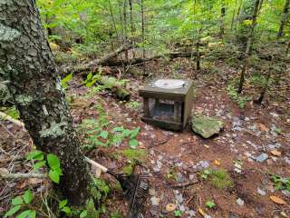 Little Notch Pond Campsite