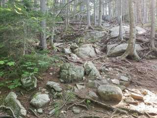 Moose Falls Campsite — Bigelow Ecological Reserve