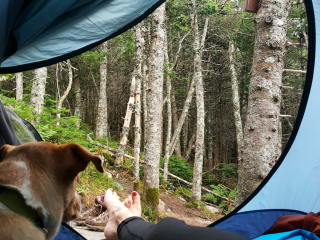 Myron H. Avery Memorial Campsite — Bigelow Ecological Reserve