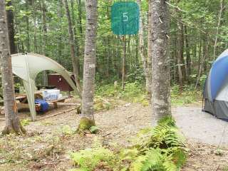 Lunksoos Campground — Katahdin Woods And Waters National Monument