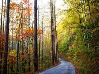 Big Creek Group Camp — Great Smoky Mountains National Park