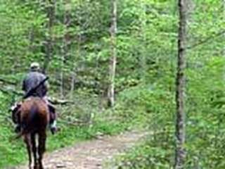 Big Creek Horse Camp — Great Smoky Mountains National Park