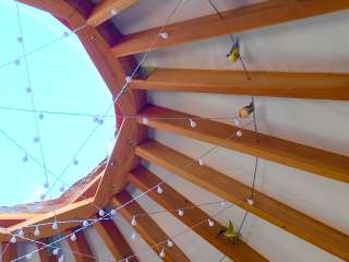 Wild Maine - The Birdhouse Yurt