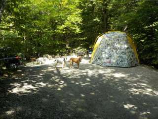 Basin Campground