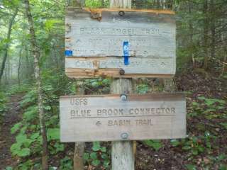 Blue Brook Tent Site