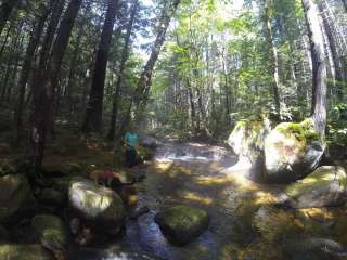 Moose Brook State Park