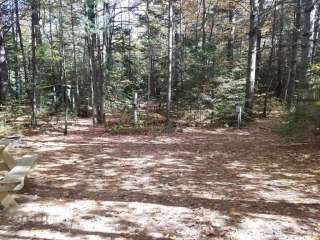 Ammonoosuc Campground