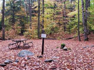 Fourth Iron Campground