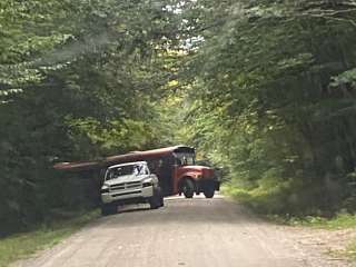 Gale River Loop Road