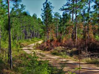 Big Foot Horse Trail and Camp -USFS