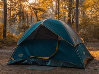 Ladd Pond Cabins And Campground