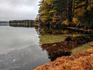 Squam Lakes Association