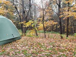 Mountain View Cabins & Cmpgrnd