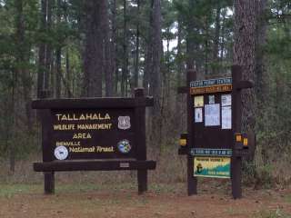 Cedar Creek in Tallahala Wildlife Management Area